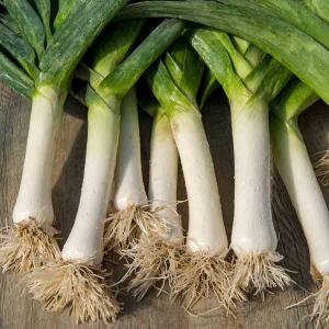 Poireau de Carentan 2